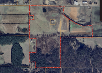 Country Home and 96 Acres in Hector, Arkansas